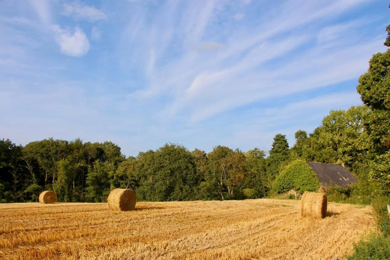 Gite Poire - Les Gites De La Lohuas Les Champs-Geraux France